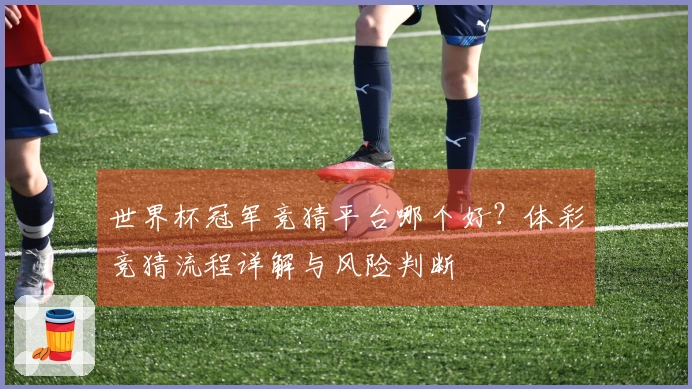 世界杯冠军竞猜平台哪个好？体彩竞猜流程详解与风险判断
