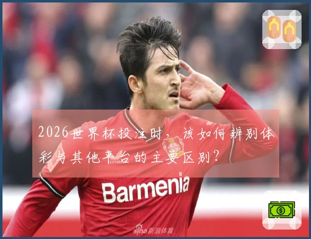 2026世界杯投注时，该如何辨别体彩与其他平台的主要区别？