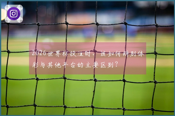 2026世界杯投注时，该如何辨别体彩与其他平台的主要区别？