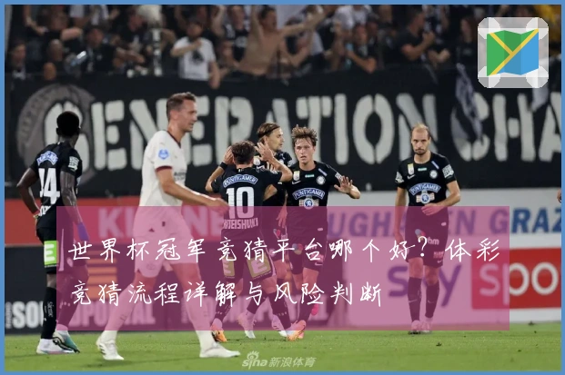 世界杯冠军竞猜平台哪个好？体彩竞猜流程详解与风险判断